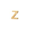 آویز حرف Z