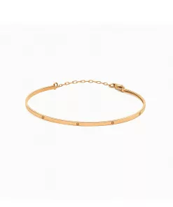 بنگل کارتیه لاو پشت زنجیر