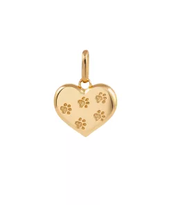 آویز قلب و پنجول